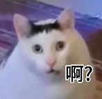 202503271626167280.Png